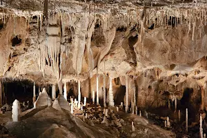 Javoříčské caves image