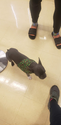 Pet Supply Store «Petco Animal Supplies», reviews and photos, 4908 Kingston Pike, Knoxville, TN 37919, USA