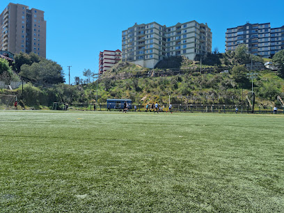 Estadio Erwin Fischer