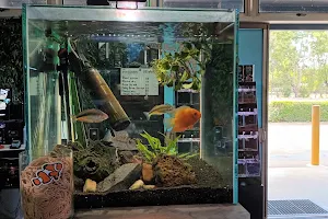 Withcott Aquarium image