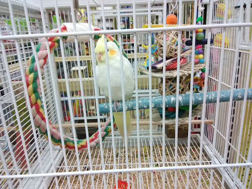 Pet Supply Store «Pet Supermarket», reviews and photos, 465 State Rd 13, Fruit Cove, FL 32259, USA