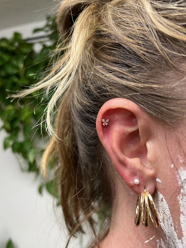 Explore highland cow tattoo ideas, creative tattoo ideas in Spanish Fork, available at Vora