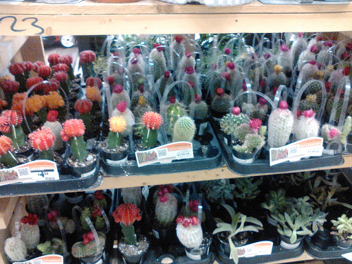 Home Improvement Store «The Home Depot», reviews and photos, 1749 Newman Rd, Okemos, MI 48864, USA