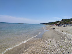 Ponte Nina Beach-Campofilone'in fotoğrafı çok temiz temizlik seviyesi ile