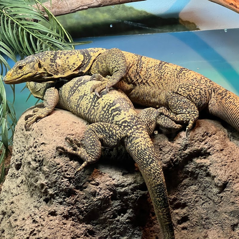 World of Reptiles, Bronx Zoo