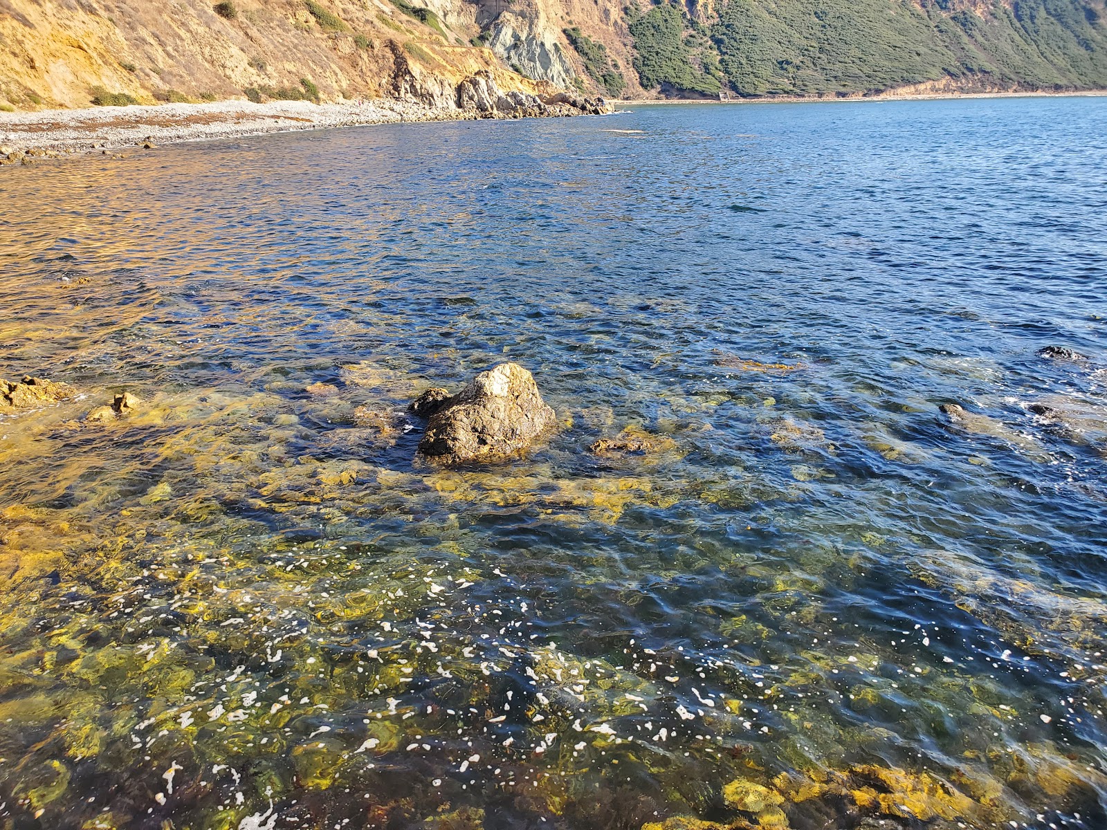 Valokuva Asiri Rock beachista. puhtaustasolla keskipitkä