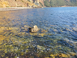 Asiri Rock beach'in fotoğrafı vahşi alan