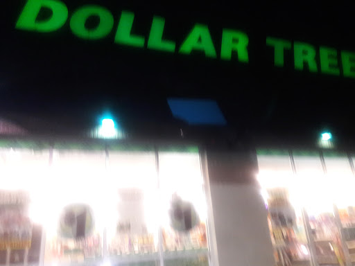 Dollar Store «Dollar Tree», reviews and photos, 300 Pleasant Grove Rd #415, Mt Juliet, TN 37122, USA