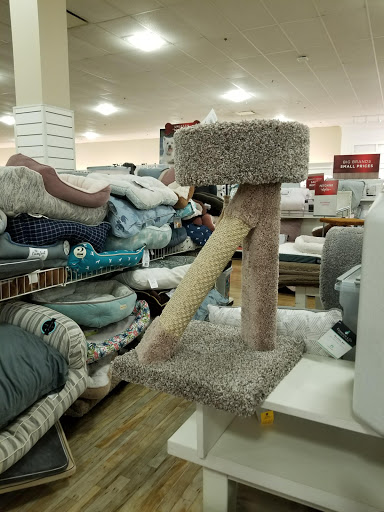 Department Store «HomeGoods», reviews and photos, 9 Kilton Rd, Bedford, NH 03110, USA