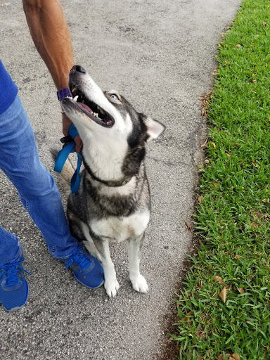 Park «Sugarwood Park», reviews and photos, 14551 SW 100th St, Miami, FL 33186, USA