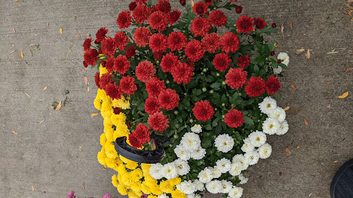 Home Improvement Store «The Home Depot», reviews and photos, 12000 S Cicero Ave, Alsip, IL 60803, USA