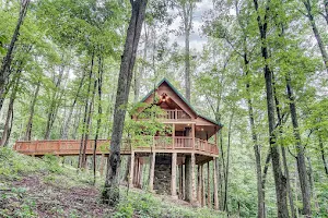 Canopy Ridge Cabins image