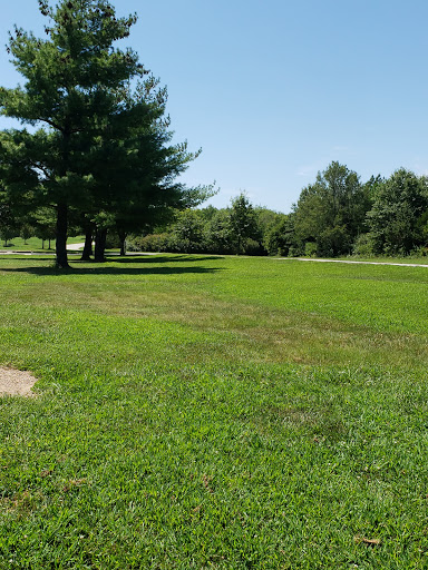 Longview Lake Shelter #11