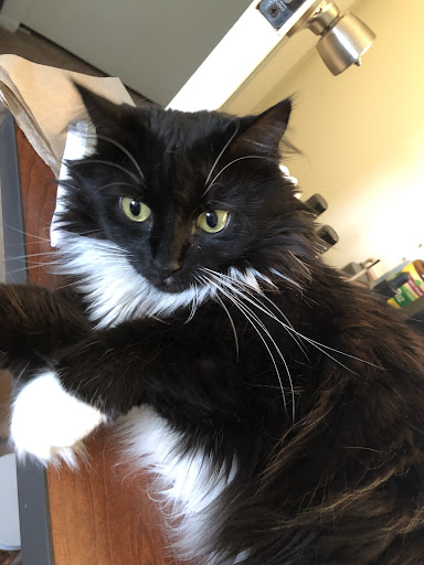 Toyota Dealer «Bobby Rahal Toyota», reviews and photos, 6711 Carlisle Pike, Mechanicsburg, PA 17050, USA