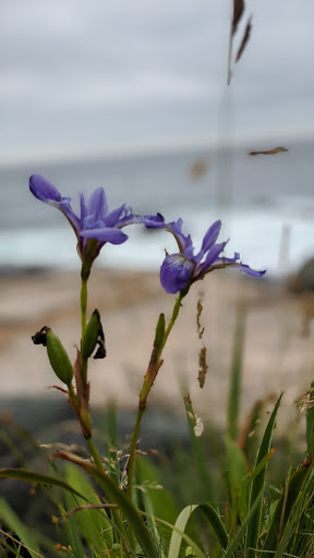 Vista Point «Schoodic Point», reviews and photos, Arey Cove Rd, Winter Harbor, ME 04693, USA