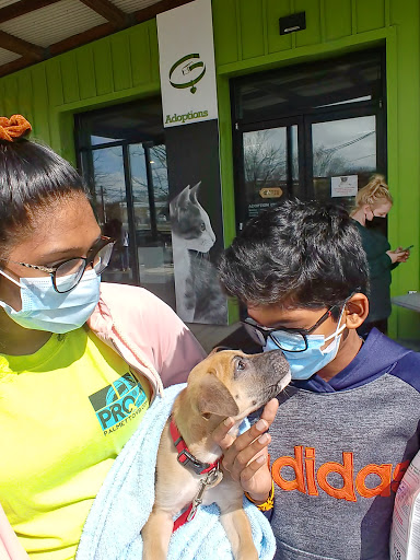 Animal Protection Organization «Greenville Humane Society», reviews and photos