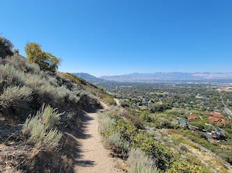 Orson Smith Park