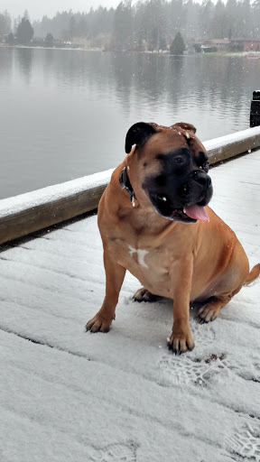 Park «Lake Geneva Park», reviews and photos, 34429 46th Ave S, Auburn, WA 98001, USA