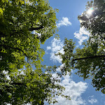 Photo n°4 de l'avis de Rebekka. fait le 06/07/2023 à 18:03 sur le  Dorfwirtschaft Asten à Tittmoning