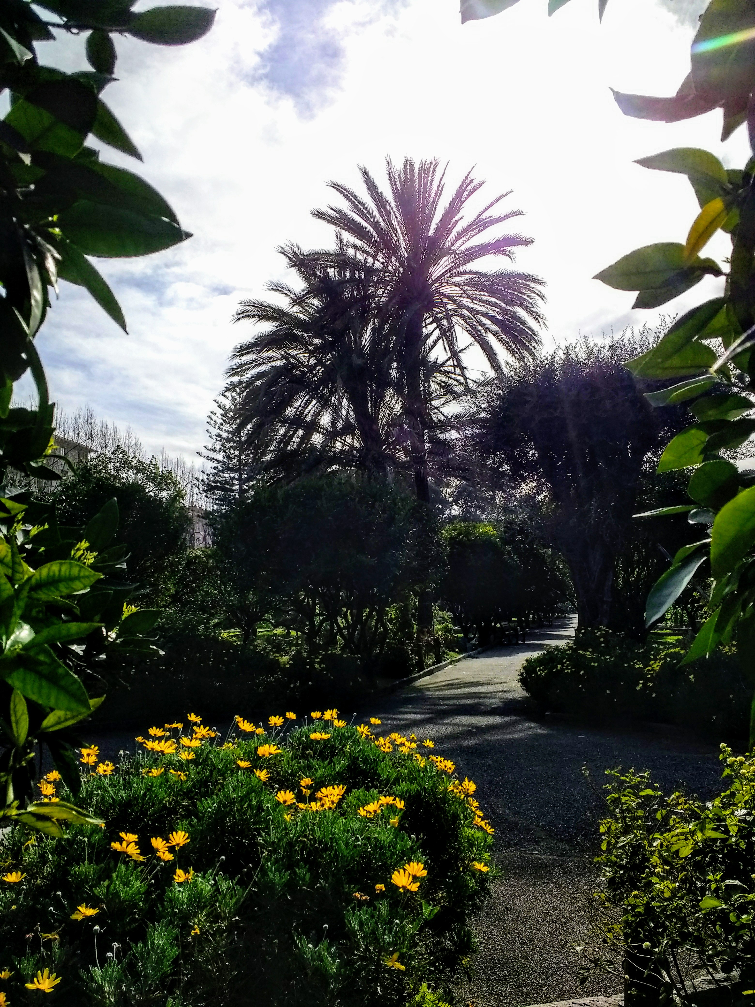 Photo n° 1 de l'avis de Monique.a fait le 23/03/2019 à 13:14