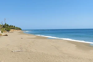 Playa Los Destiladeros image