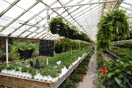 Florist «Anderson Florist and Greenhouse», reviews and photos, 1812 N Detroit St, Warsaw, IN 46580, USA