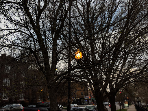 Park «Winnemac Park», reviews and photos, 5100 N Leavitt St, Chicago, IL 60625, USA