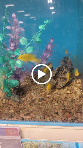 Pet Supply Store «PetSmart», reviews and photos, 2435 Prairie Center Pkwy, Brighton, CO 80601, USA