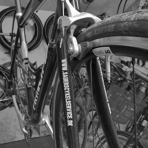 Anmeldelser af Sauers Cykelservice i Randers - Cykelbutik