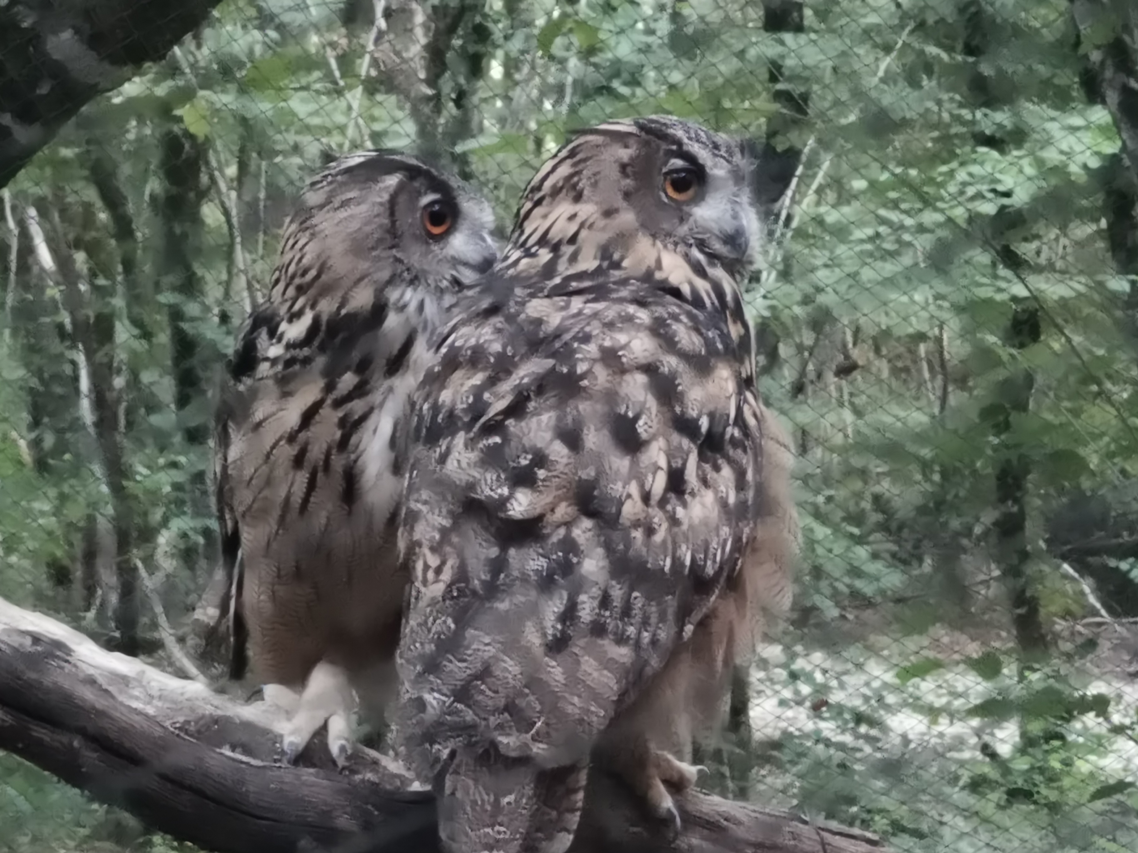 Photo n° 9 de l'avis de Sarah.a fait le 11/08/2023 à 07:34