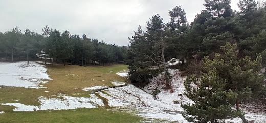 Topçam Piknik Alanı