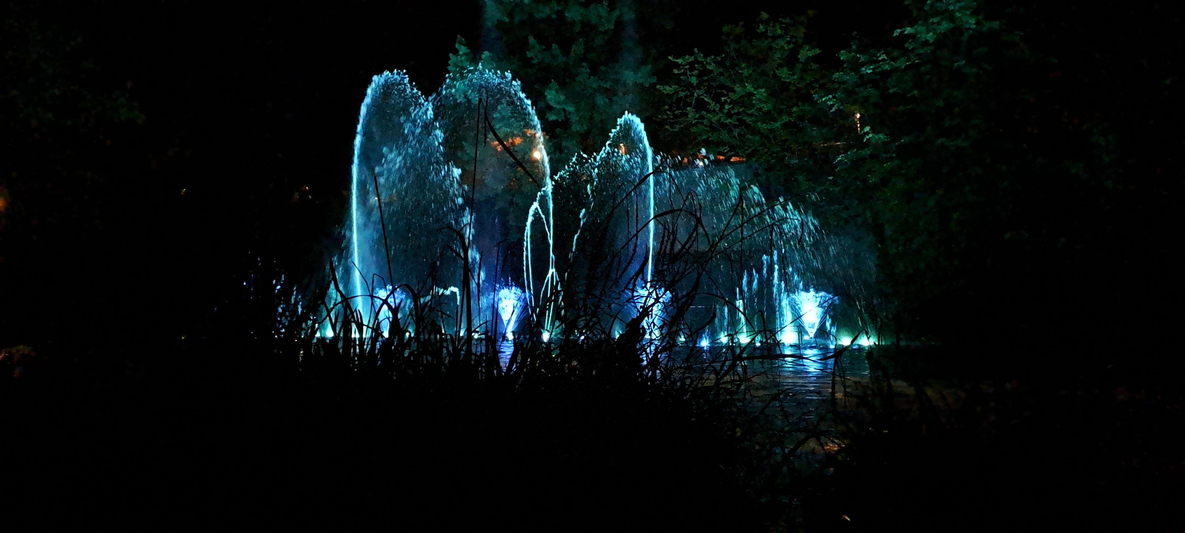 Photo n° 6 de l'avis de bellou57.o fait le 08/07/2023 à 21:38