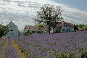 Arboretum and Conservation Area of Pannonhalma image