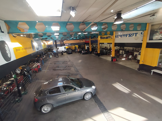 Beoordelingen van QTeam Genk-Noord | Banden & Car Service in Hasselt - Banden winkel