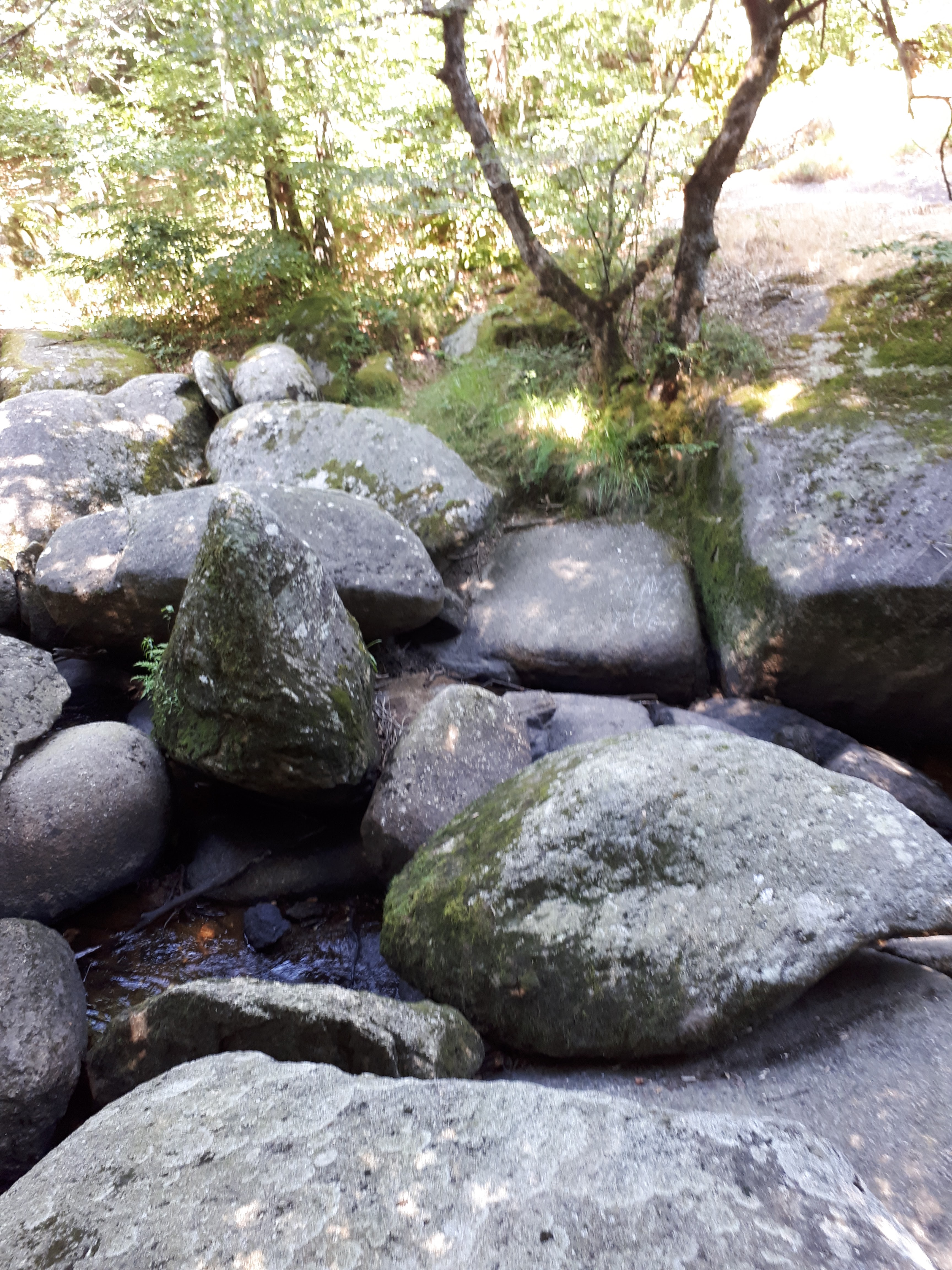 Photo n° 1 de l'avis de Axel. fait le 03/09/2018 à 10:21