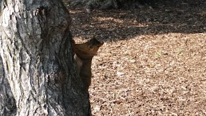 Holmes Lake Park - photo 65
