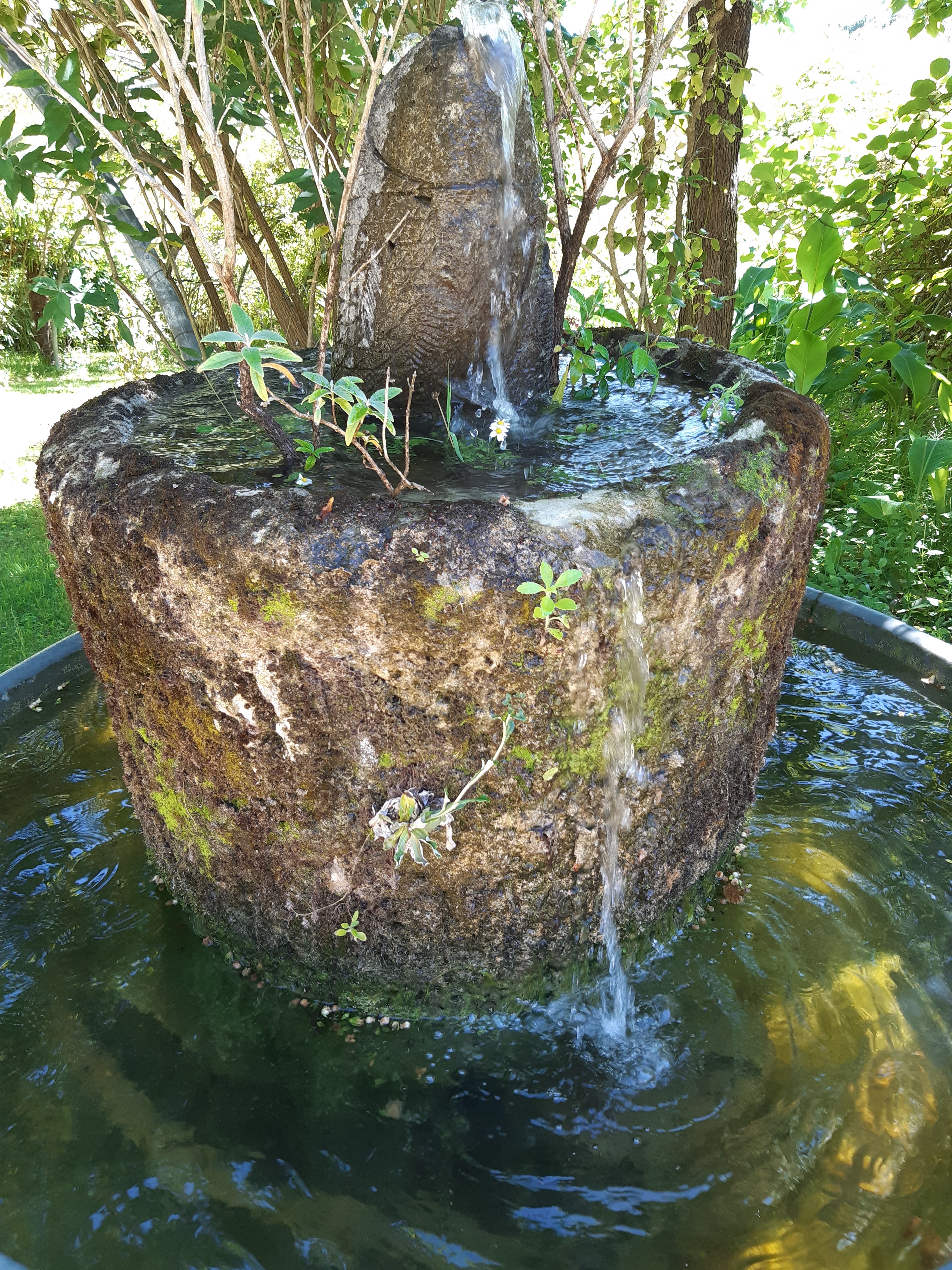 Photo n° 8 de l'avis de Ange.n fait le 01/06/2019 à 14:17