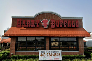 Harry Buffalo North Olmsted image