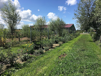 La ferme du Vieux Poirier à Schopperten