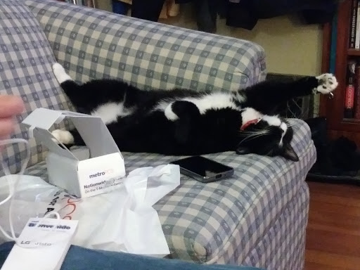 Window Installation Service «Budget Exteriors Inc.», reviews and photos