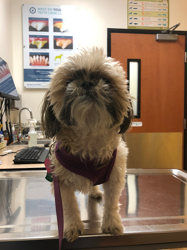 Pet Supply Store «PetSmart», reviews and photos, 830 Pelham Pkwy, Pelham, NY 10803, USA