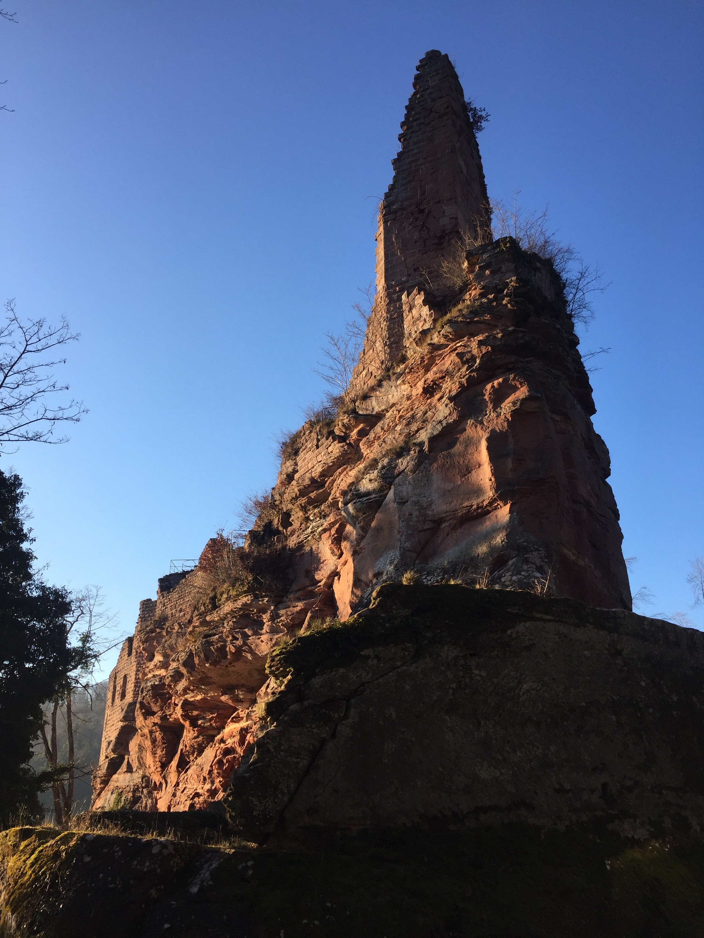 Photo n° 2 de l'avis de Sandra.i fait le 31/12/2020 à 14:00