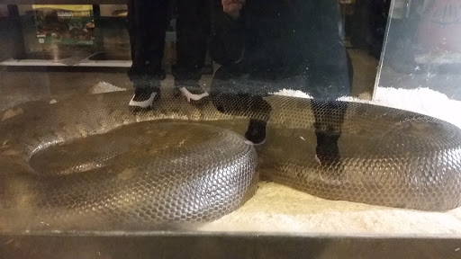 Pet Store «Miles of Exotics», reviews and photos, 8350 N Broadway, Kansas City, MO 64118, USA