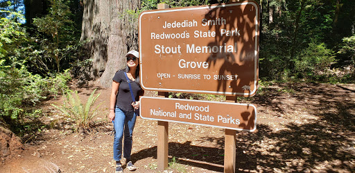 National Park «Redwood National and State Parks», reviews and photos