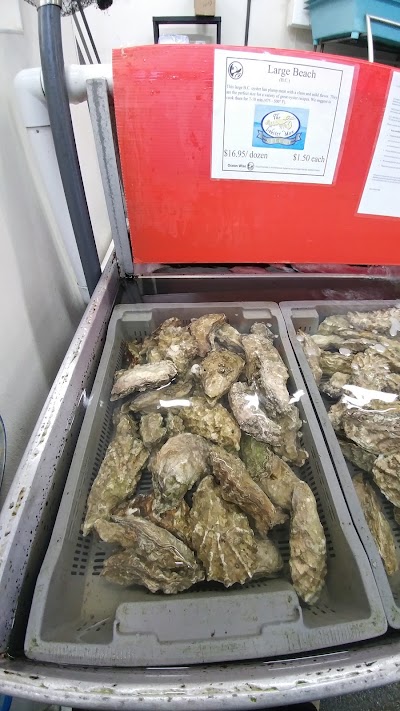 Photos of The Lobster Man