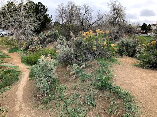 Wildlife Park «Willow Spring Open Space», reviews and photos, 7100 S Holly St, Centennial, CO 80112, USA