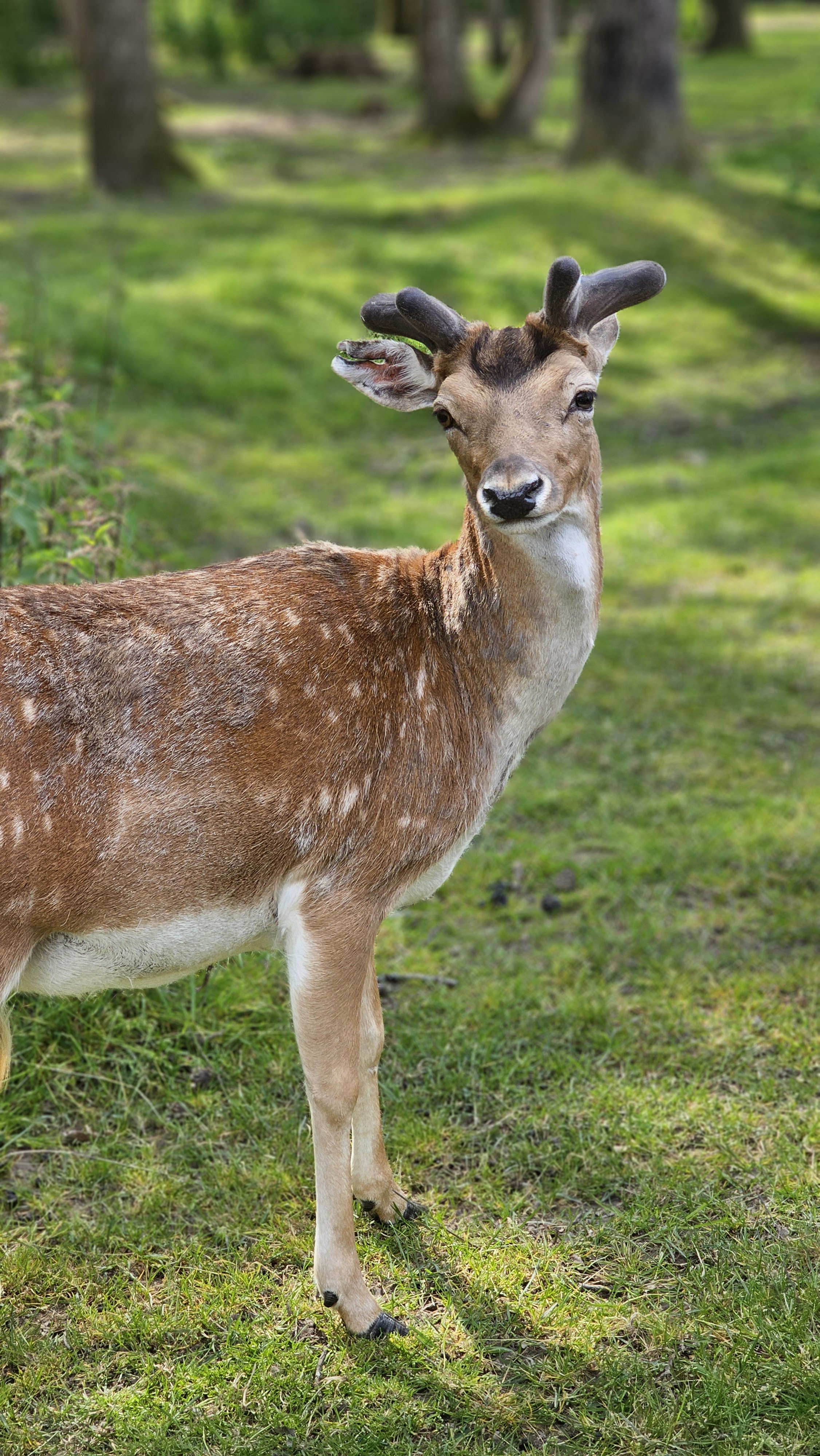 Photo n° 1 de l'avis de Chris.e fait le 08/06/2023 à 16:32