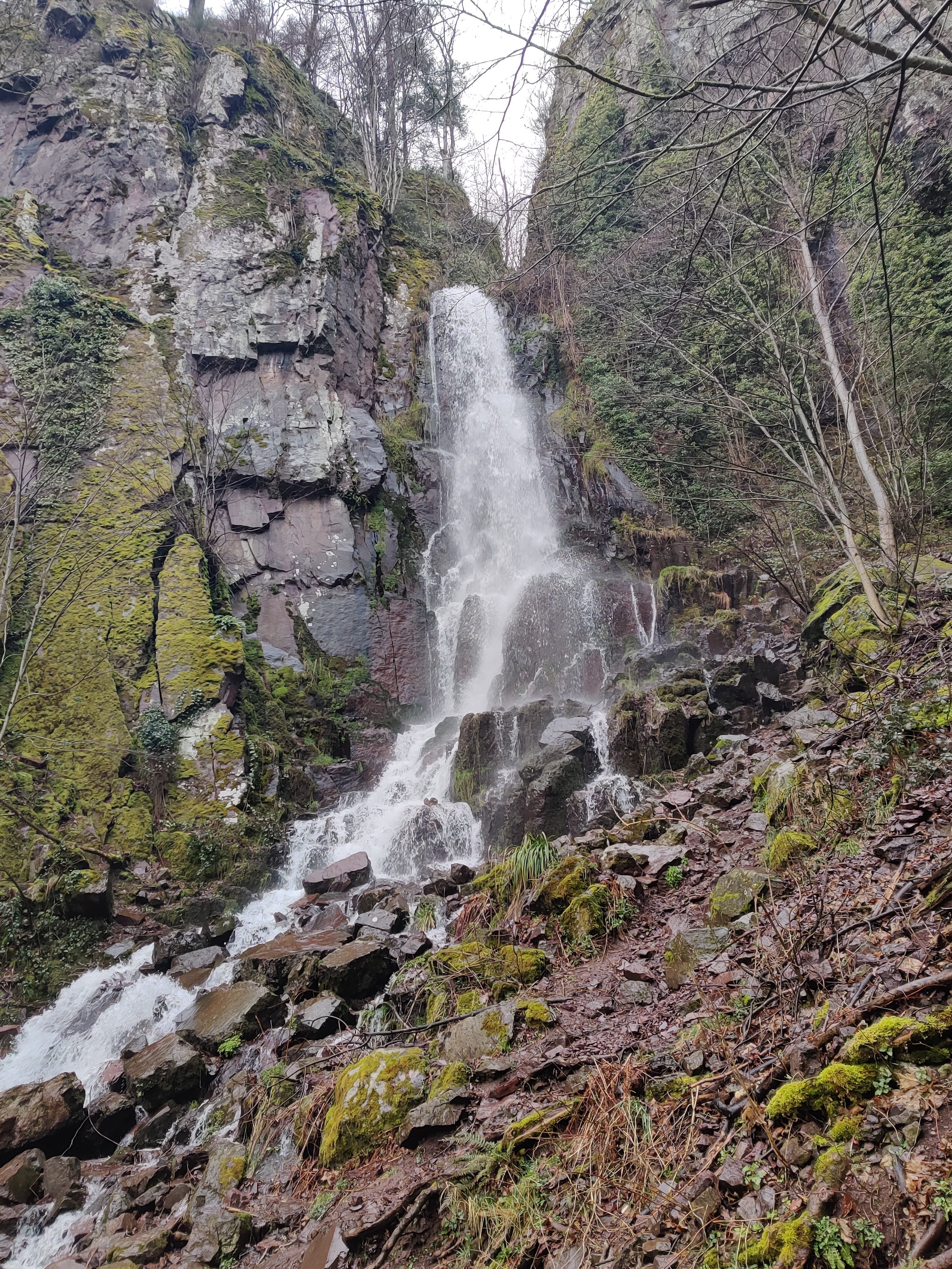 Photo n° 4 de l'avis de Léa.e fait le 02/03/2020 à 12:32