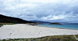 Praia da Ermida'in fotoğrafı vahşi alan