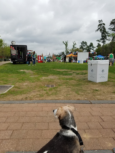 Park «Town Green Park», reviews and photos, 2099 Lake Robbins Dr, The Woodlands, TX 77380, USA